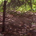 Armagost Cemetery 2